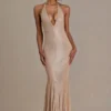 Ameline Premium Embellished Plunge-Neck Open-Back Gown i beige guld