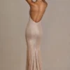 Ameline Premium Embellished Plunge-Neck Open-Back Gown i beige guld
