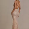 Ameline Premium Embellished Plunge-Neck Open-Back Gown i beige guld