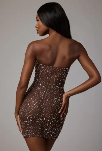 Caprice Sheer Embellished Bodycon Miniklänning i Deep Cocoa