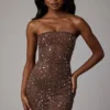 Caprice Sheer Embellished Bodycon Miniklänning i Deep Cocoa