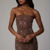 Caprice Sheer Embellished Bodycon Miniklänning i Deep Cocoa
