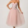 Cindy Tulle Corset Midaxi-klänning i Dusty Rose