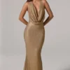 Feyre Embellished Cowl-Neck Backless Gown i guld
