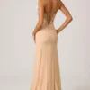 Lysana Embellished Corset Fishtail Gown i Floral Beige