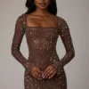 Zeta Sheer Embellished Long Sleeve A-Line Miniklänning i Deep Cocoa